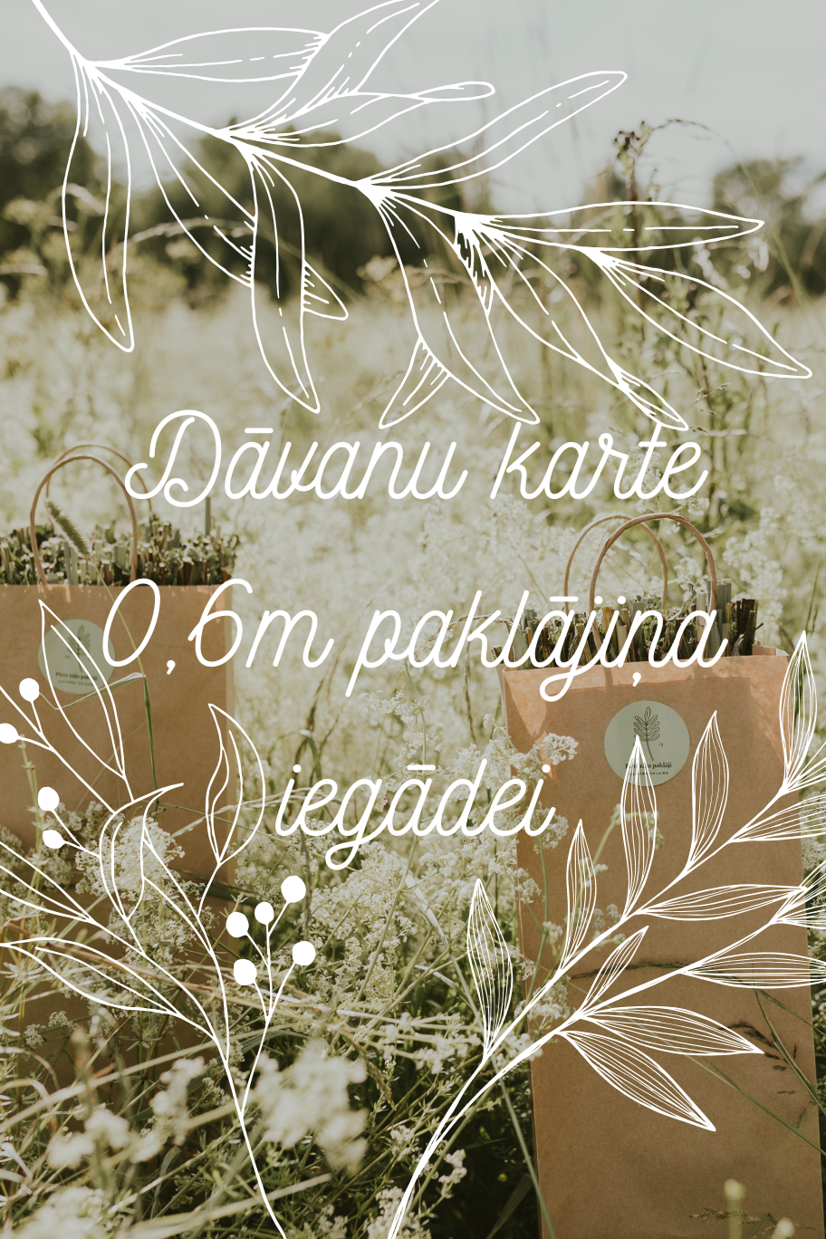 Dāvanu karte (0.6 m) + piegāde