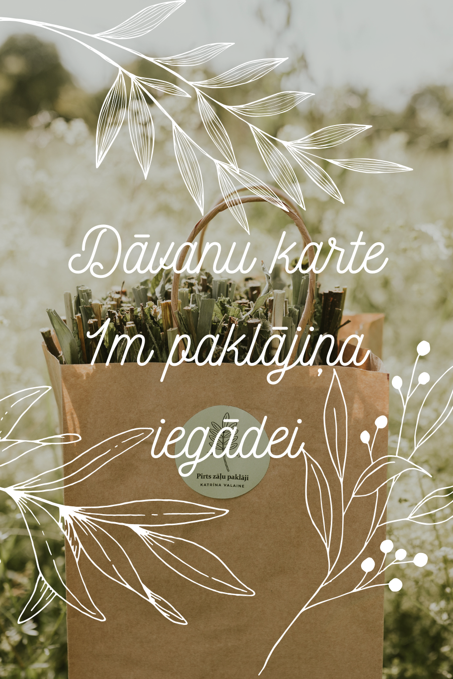 Dāvanu karte (1.0 m) + piegāde